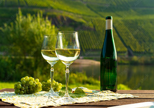 20251118-Vinprovning