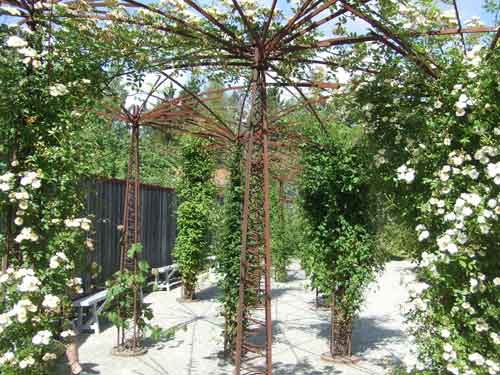 20260609-Wij-trädgårdar