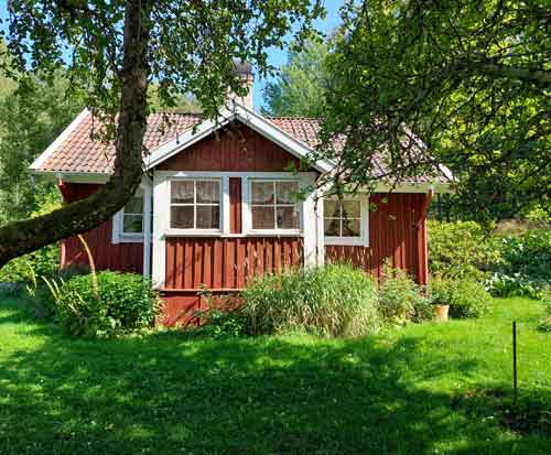 20260506-Moas-torp